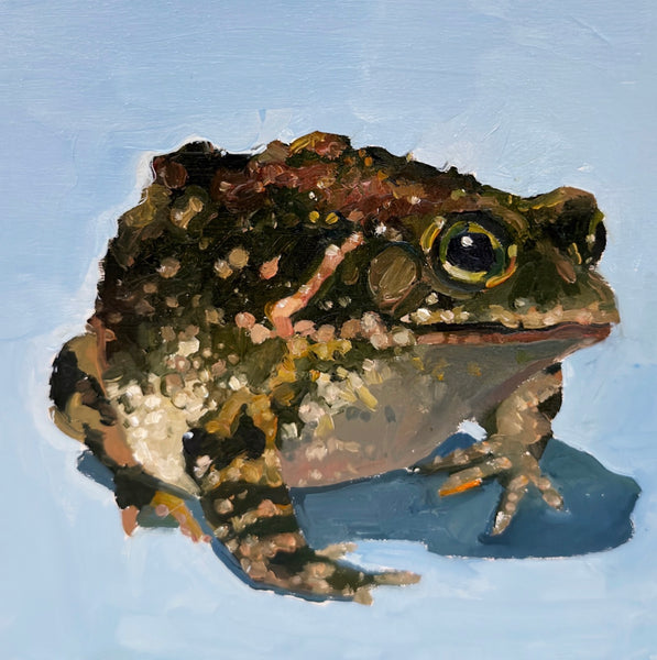 Toad